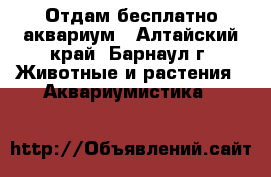 Отдам бесплатно аквариум - Алтайский край, Барнаул г. Животные и растения » Аквариумистика   